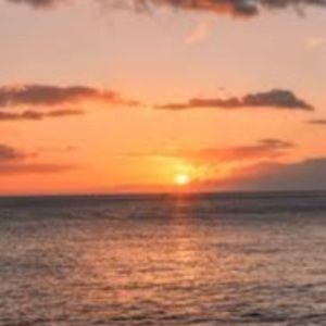 Meet your Posher, Jasminderk